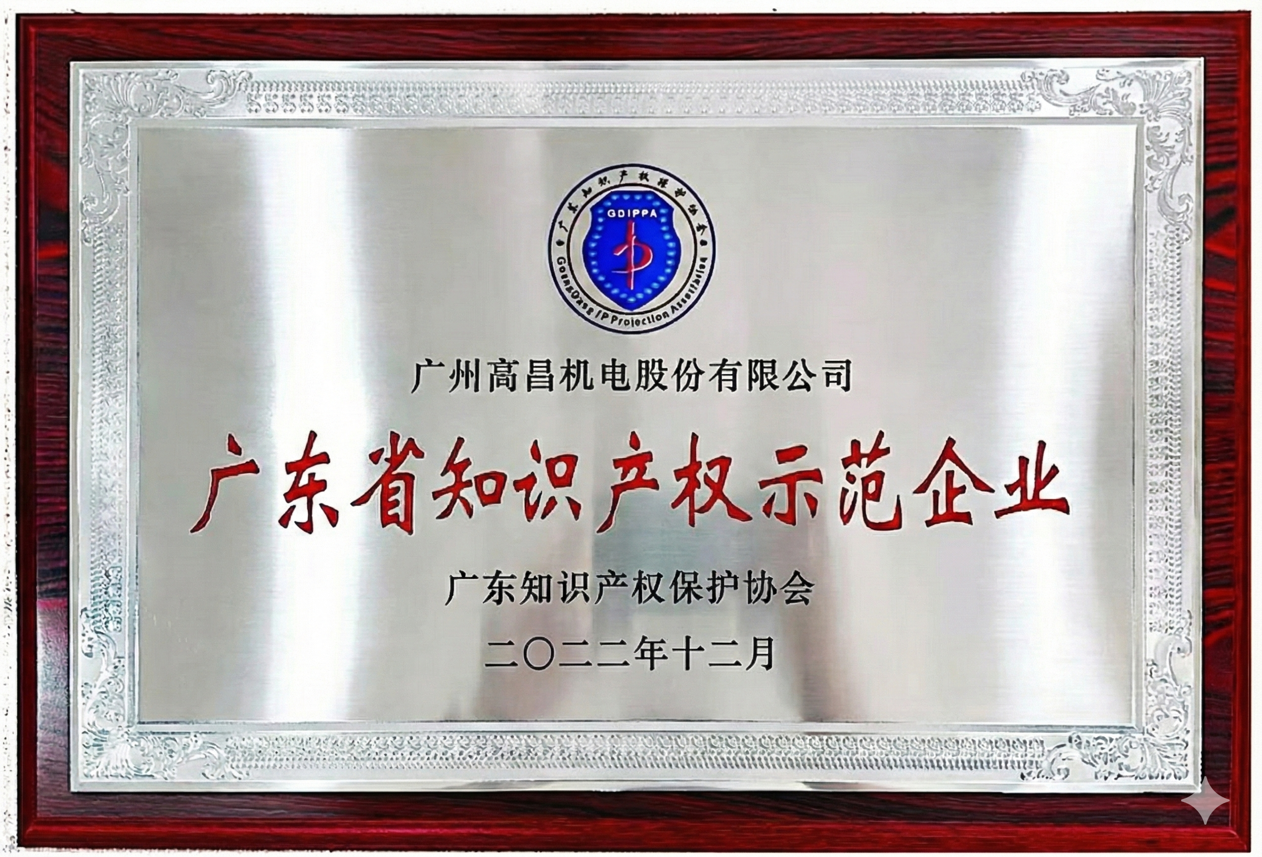 广东省知识产权示范企业